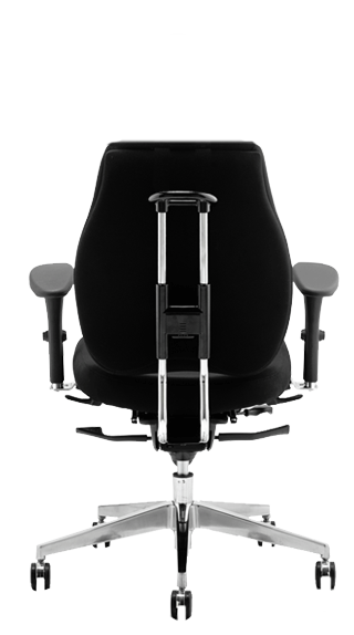 Chiro Plus Ergo Rear Elevation