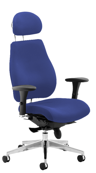 Chiro Plus Ergo Blue Headrest PO000004