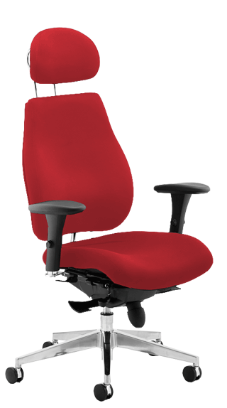 Chiro Plus Ergo Wine Headrest PO000025
