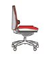 Integral Lumbar Support