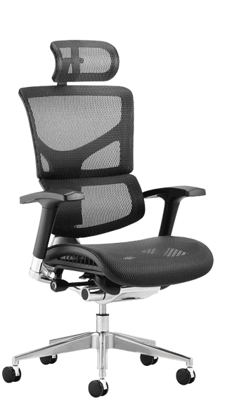 Ergo Dynamic Full Mesh with Headrest