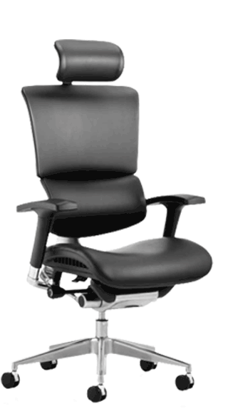 Ergo Dynamic Leather with Headrest KC0049