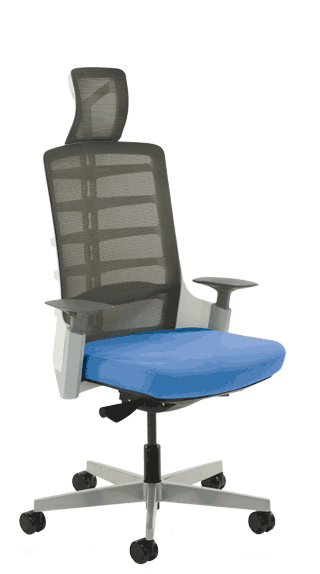Exo Charcoal Grey Mesh Backrest Bespoke Seat Stevia Blue KCUP1275
