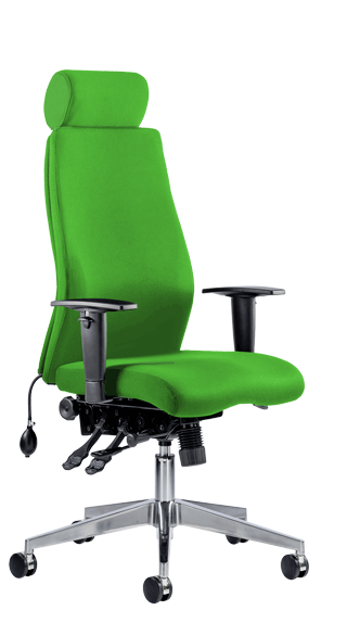 Onyx Ergo Headrest Bespoke Myrrh Green KCUP0434