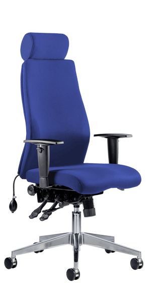 Onyx Ergo Headrest Bespoke Stevia Blue KCUP0435