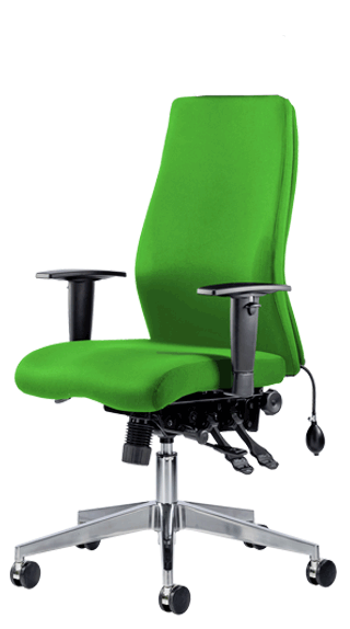 Onyx Ergo Bespoke Myrrh Green